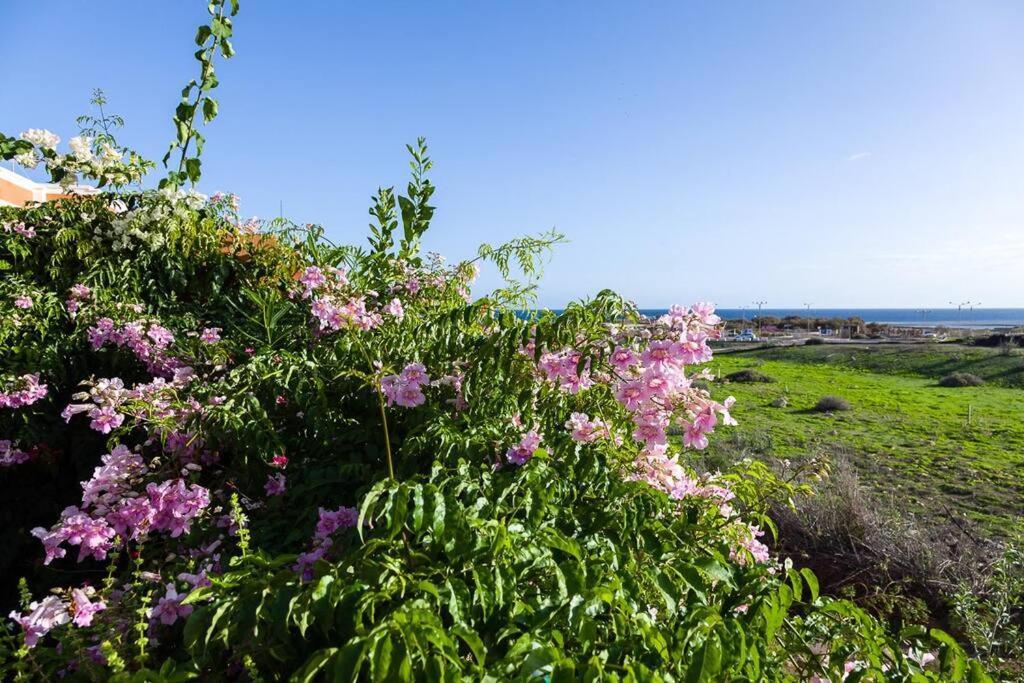 Tejita Beach La Tejita Екстериор снимка